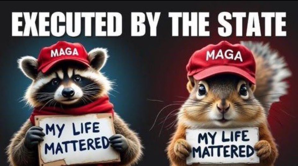 Harperific's tweet photo. If you vote for any democrat then you support big government walking in your house and killing your pet!!! #PeanutTheSquirrel #PeanutThePatriot 
#Peanut2024 #SquirrelGate #SquirrelLivesMatter https://t.co/uaRzlks2WQ