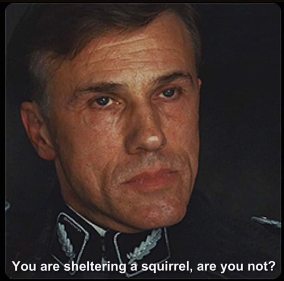 Harperific's tweet photo. If you vote for any democrat then you support big government walking in your house and killing your pet!!! #PeanutTheSquirrel #PeanutThePatriot 
#Peanut2024 #SquirrelGate #SquirrelLivesMatter https://t.co/uaRzlks2WQ