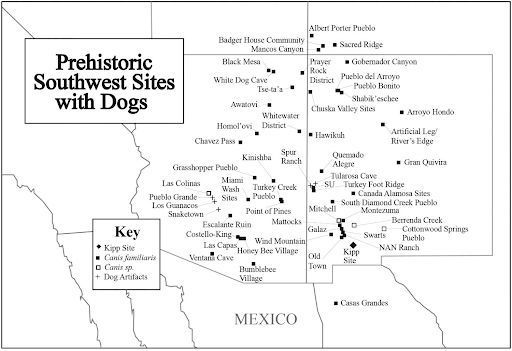 KivaSWJournal's tweet photo. Researchers analyze a dog burial from the Kipp site using morphology and isotope analyses. Discover the insights gained on how the dog’s diet may have reflected the dietary practices of the people at Kipp. #SWArch #Kipp #NewMexico #ArchaeologyDogs https://t.co/n6zSE78Vsd https://t.co/8T2VHxmWaw