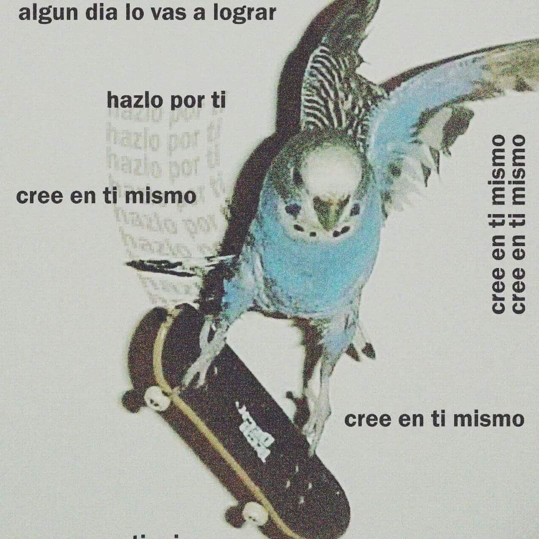 vampiro emocional (@misputaspoesias) on Twitter photo 