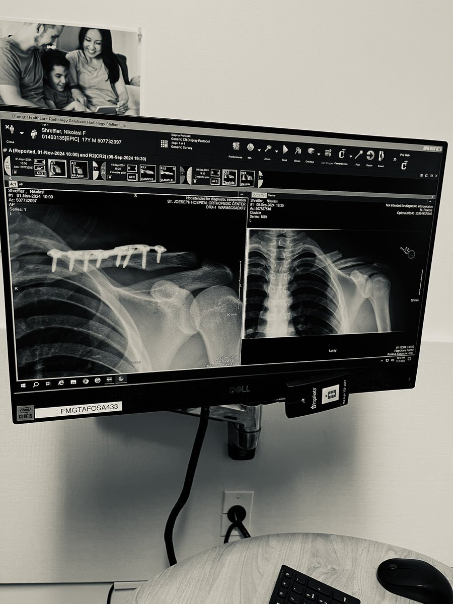 niko shreffler tweet media