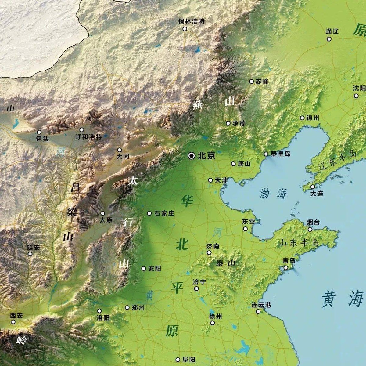 Zhao DaShuai 东北进修🇨🇳 Commentary tweet media