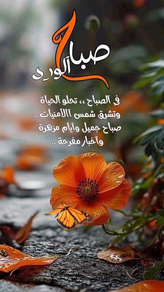 AAlalawi22's tweet photo. صباح الخـــير لمن يطيب بهم الصباح
ولمن ادمنت وجودهم بين تفاصيل حروفي .! صباح السعــادة للذين يمرون على القلب كـنسيم الصباح  .. صباح الفــرح ۅالمسرات لمن يبعثون الامل والسعادۿٰٕہِٰ۬ۛۥَِ۠ في قلوبنا .. ♩♥️..!

      « صبـــــاح الــــــ🌹ـــــورد » https://t.co/mFSluf5Jiw