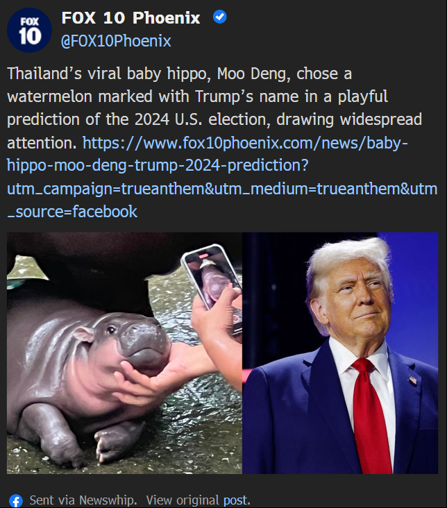 You heard it here first. #ElectionDay #Vote2024