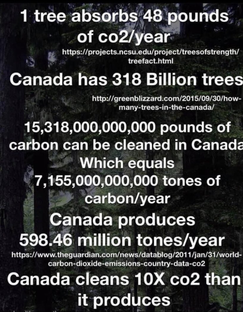 Dean Edroff tweet media