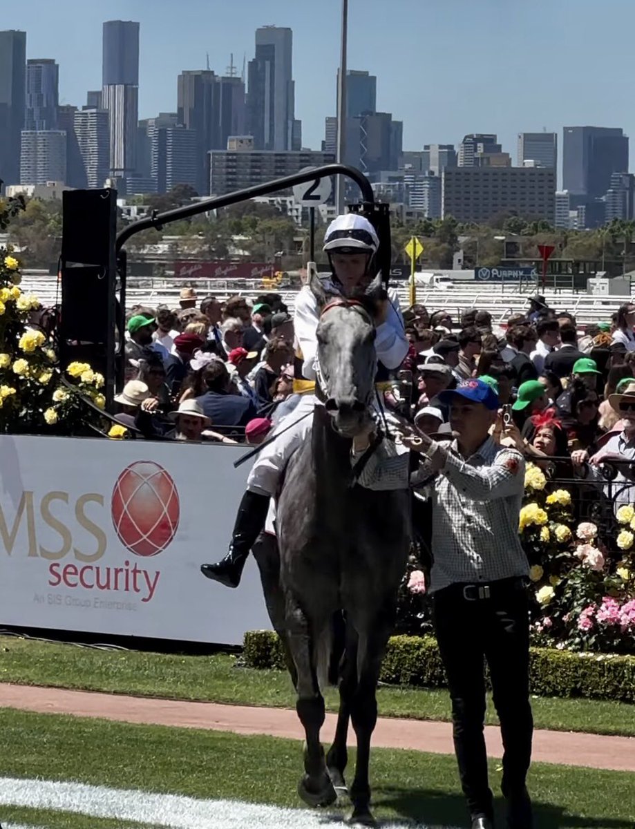 Great to see our corporate member’s <a href="/OTIRacing/">OTI Racing</a> silks in the winners’ circle on a sunny Melbourne Cup day. Congratulations to all involved and good luck in the big one!