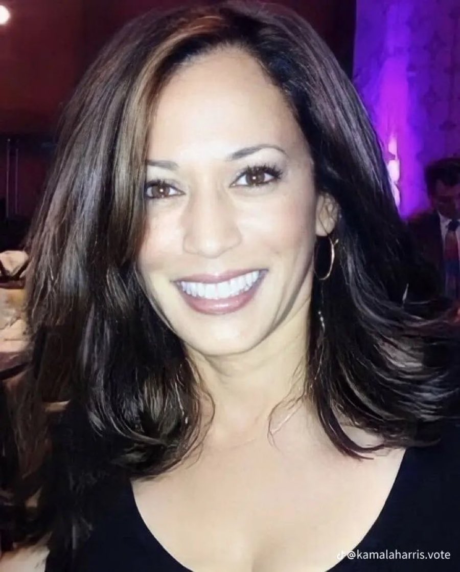 Unbelievable!..Did you know that  Kamala Harris is the only Presidential candidate in our 300+year history! to have worked in all three  Branches of Government! The Judiciary! The Legislative and the Executive? Which makes her the most qualified Presidential candidate ever! Wow!