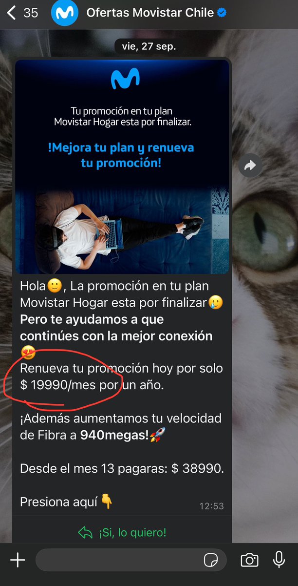 Max Chutzinski tweet media