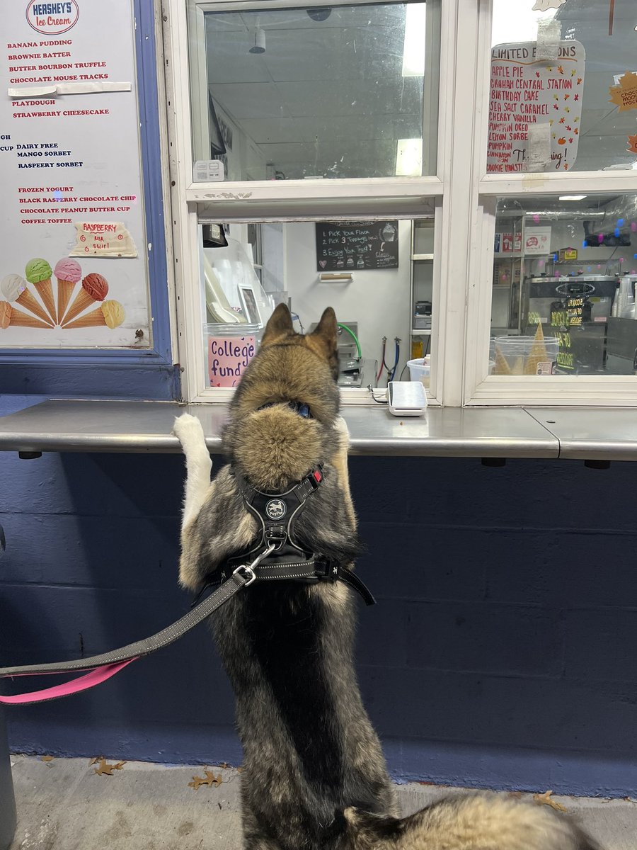 _kreyn's tweet photo. My precious son waitin for his ice cream https://t.co/tLRV4Z33Jw