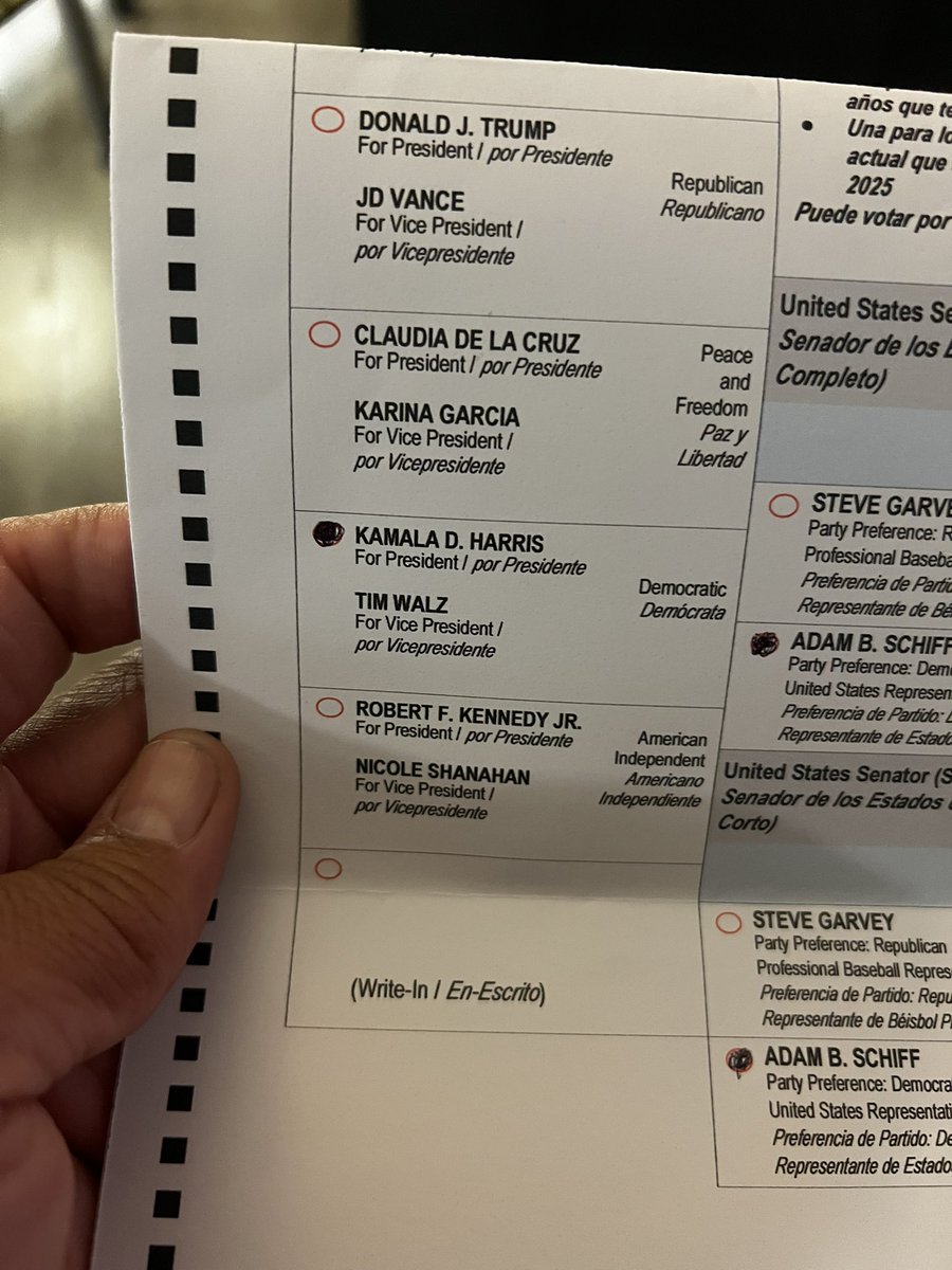 My ballot <a href="/elonmusk/">Elon Musk</a>