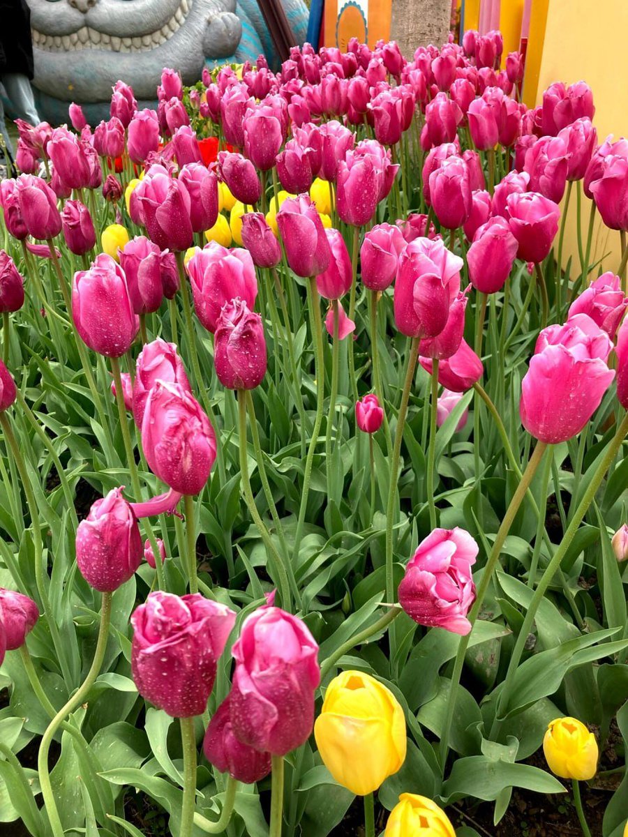 You’re only here for a short visit. Don’t hurry, don’t worry. And be sure to smell the flowers along the way,🌷🌷