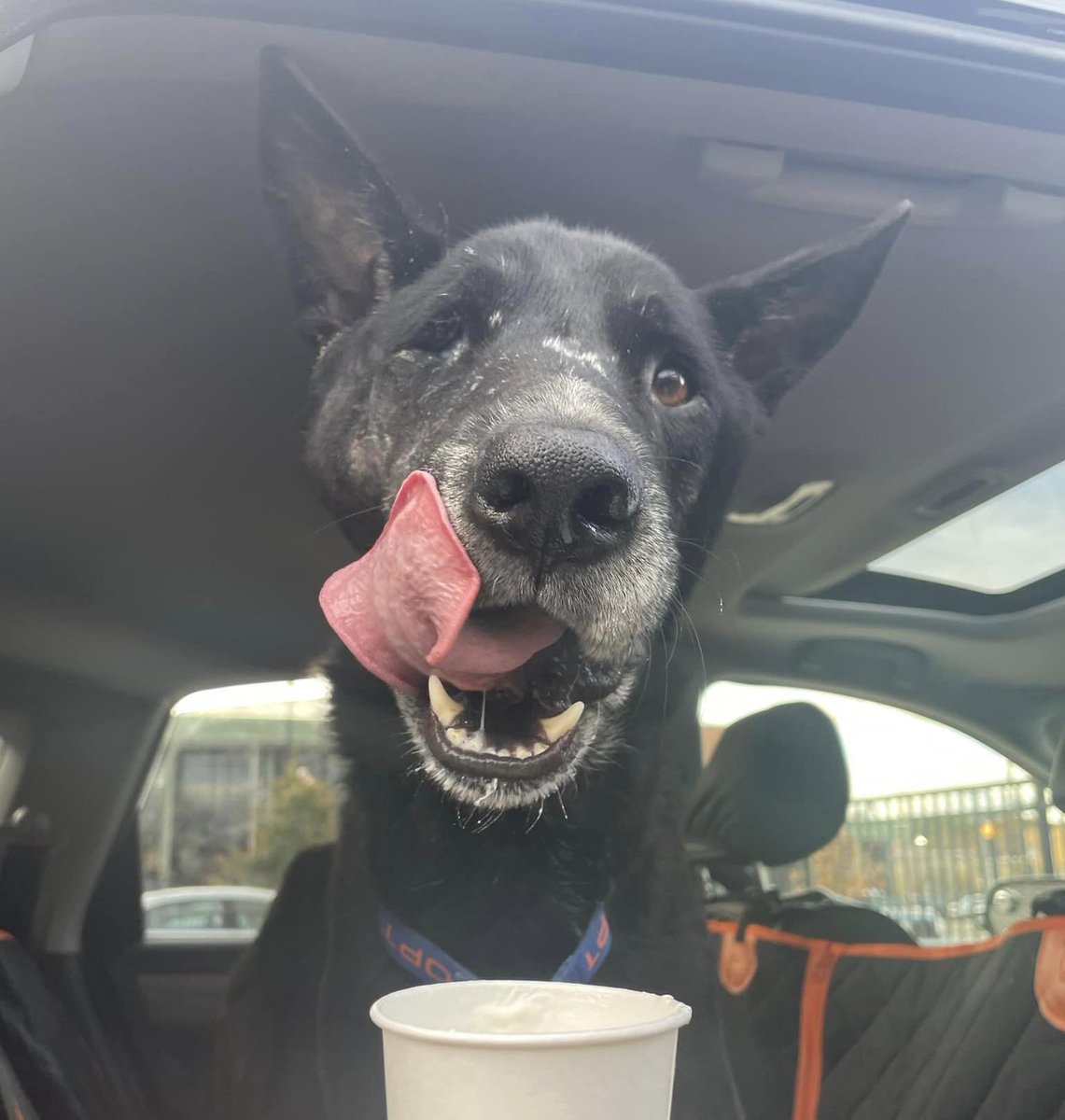 15/10 Foundation tweet media