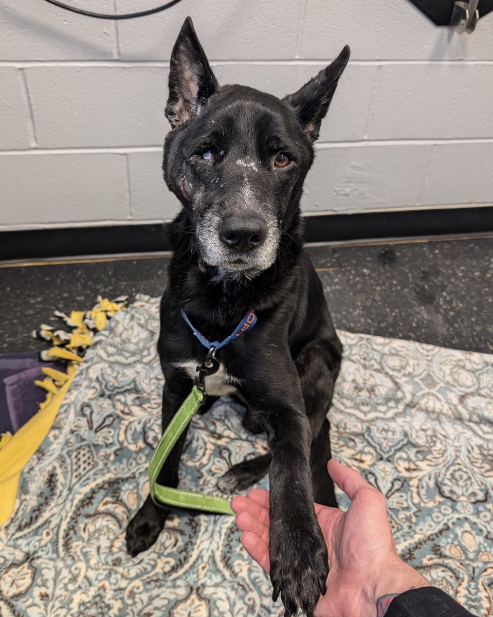 15/10 Foundation tweet media