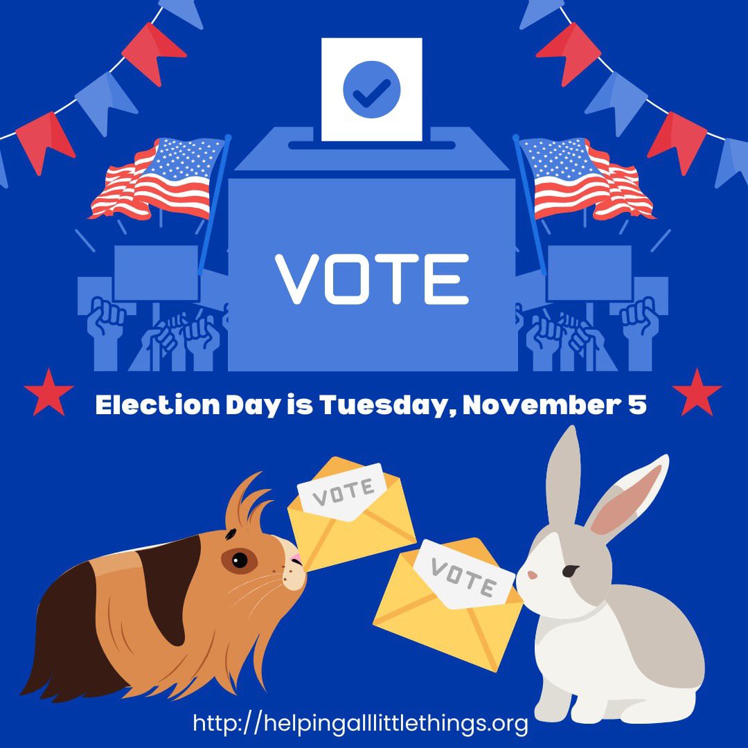 If you haven’t already, make sure that you go out and VOTE tomorrow!
#vote #getoutthevote #election #election2024 #ElectionDay