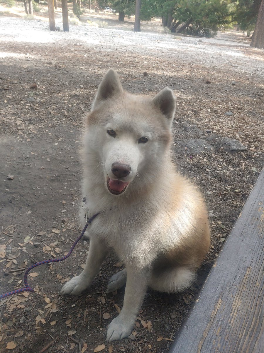 Andy / Tofü tweet media