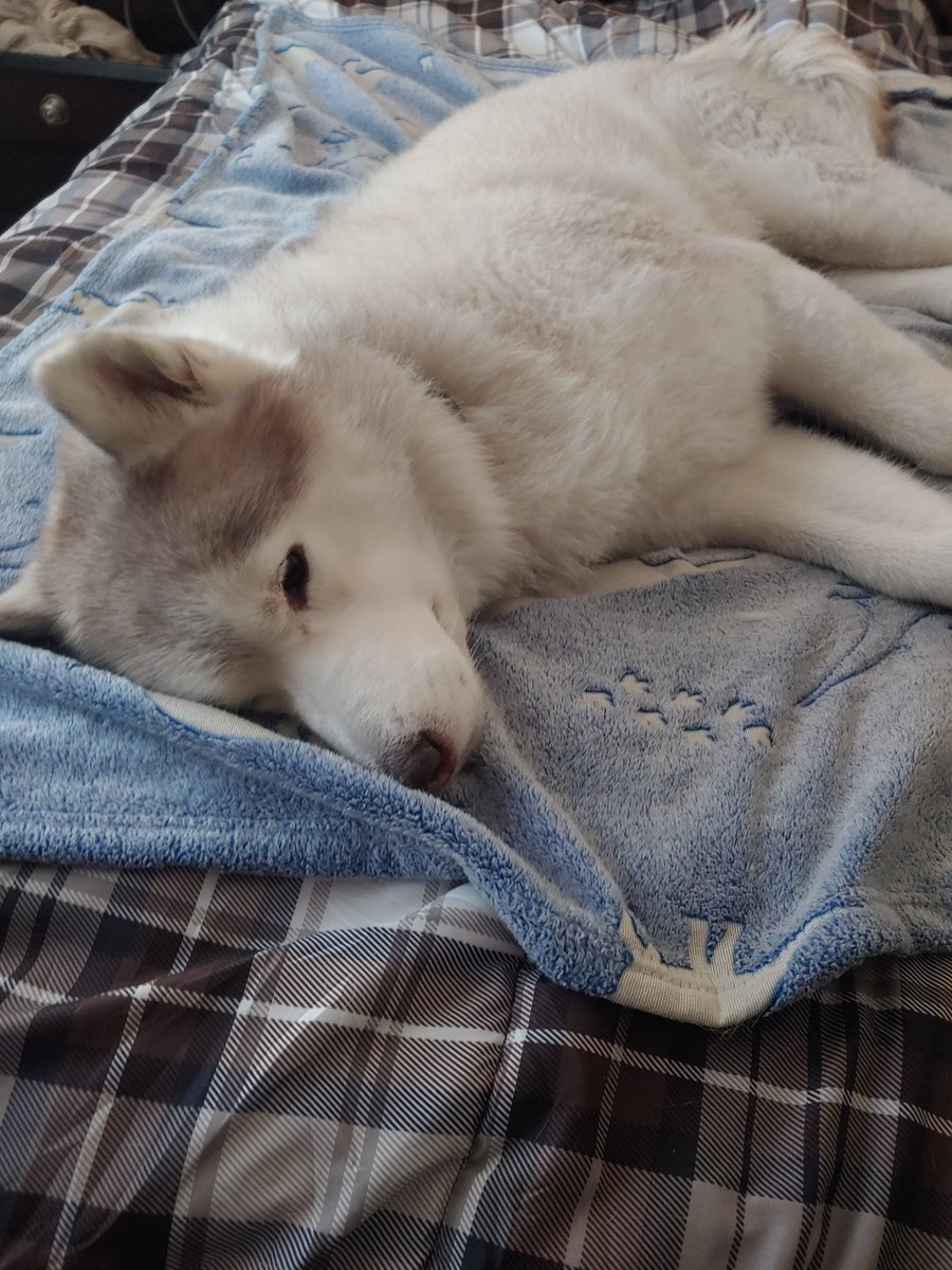 Andy / Tofü tweet media