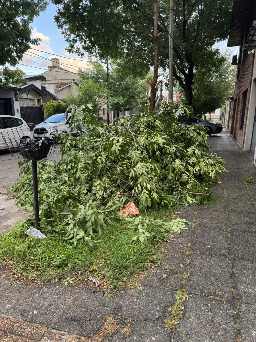 MarquezYane's tweet photo. Caseros 4251, Olivos (entre Paraná y Mariano Moreno)
@HUMVL https://t.co/vuCbYluhOi