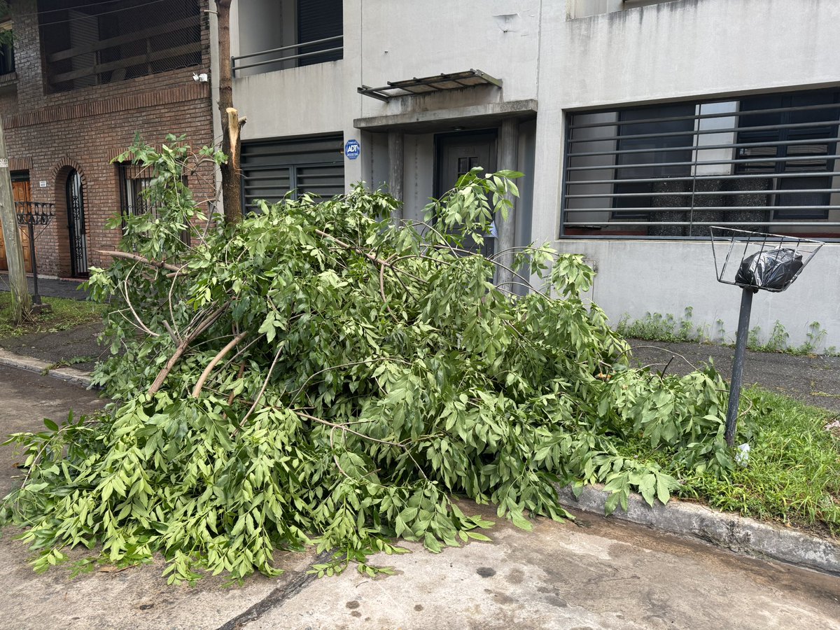 MarquezYane's tweet photo. Caseros 4251, Olivos (entre Paraná y Mariano Moreno)
@HUMVL https://t.co/vuCbYluhOi