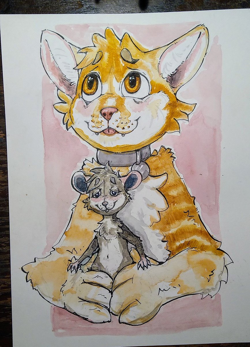 You found out your cat is dating the mouse. :o