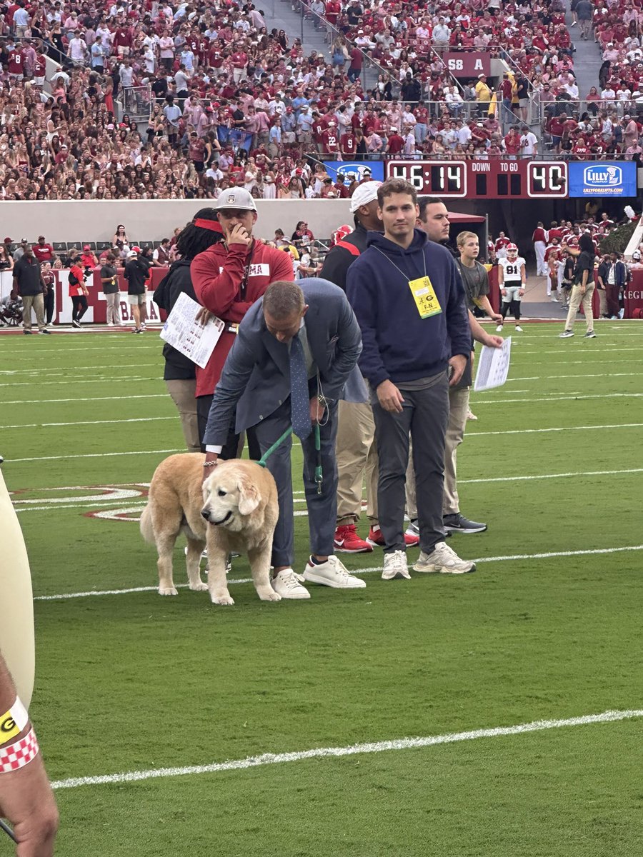 sbs0414's tweet photo. @KirkHerbstreit Praying for him Kirk. I got this picture of you and him at the Bama Georgia game this year. He was such a good dog just chilling on the field. https://t.co/GEJe29asOy