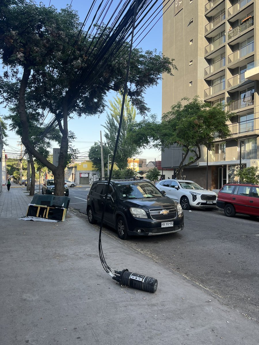 Maria Jose Abreu tweet media