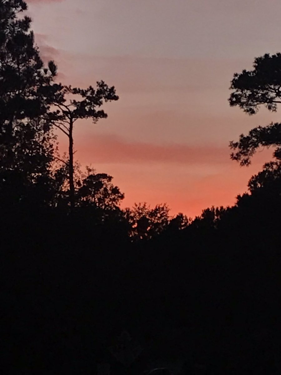 JanetNestor's tweet photo. Sunset this evening. Fantastic!
#NaturePhotography
#FindingNaturesMagic https://t.co/IocFxbyUK6