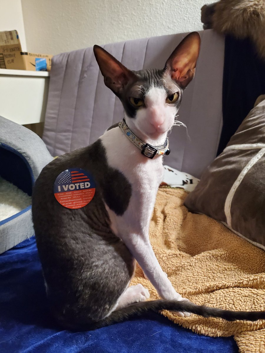 he voted
will you?