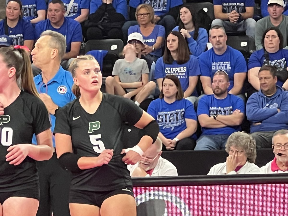 Chris Fitzgerald tweet media