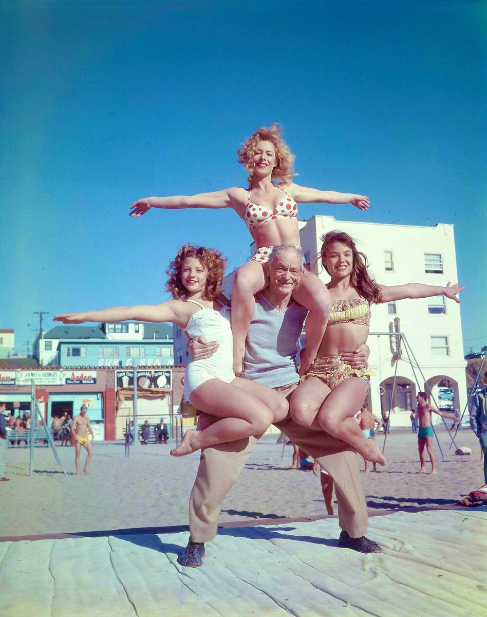 steve hunsinger (@hoffstevesteve) on Twitter photo 