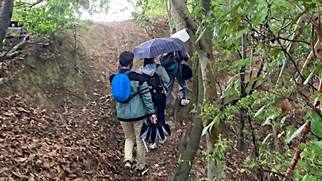 【生物学野外実習】今年も春に生物学野外実習を実施しました。他学部を含む20名の学生が参加し、豊中キャンパスの身近な植物を使って植物の体制や送粉のしくみについて学び、種の同定や標本作り、自由研究と発表会をおこないました。恒例の山登りでは、箕面山の動植物についても学びました。
