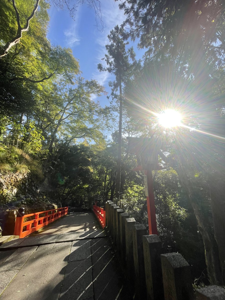 秋の朝 - Search / X