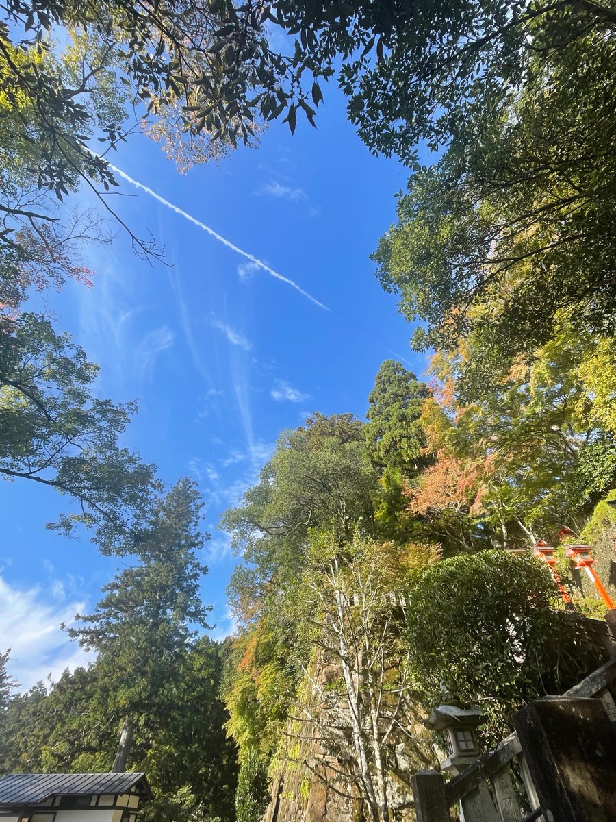 秋の朝 - Search / X