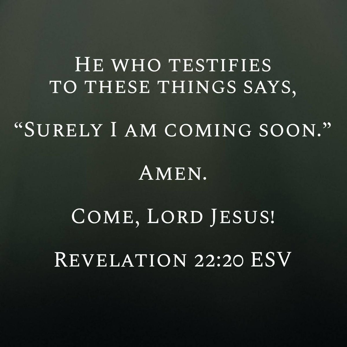 wajamika's tweet photo. Amen. Come, Lord Jesus!
Revelation 22:20 ESV
https://t.co/JSFc7gSF1X
@firsthotsprings https://t.co/Pq2PWInfn1