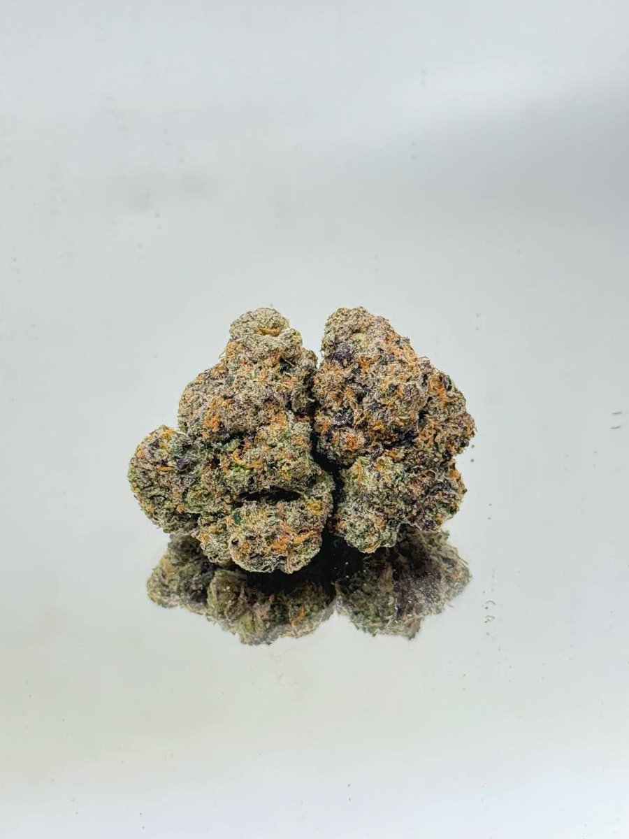 CloudOf9s's tweet photo. #Kush #Vibes #Skunk #Bong #Chill #Oil #Purps #Joint #Hits #Roll #Loud #Love #Grow #Life #Meds #Crop #OG420 #Zoot #Pack #Lift #Doobs #Fire #Herbs #Live #Epic #Puff #Gold #Highz #Packs #Trip #Rips #Fuel #Blast #Farm #Haze #Weedy #Glow #Club #Bake #Pipe #Crop #OGBud #Vibes https://t.co/ovW5vy0lRY