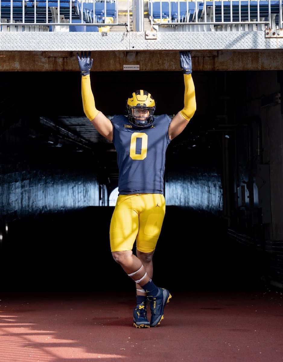 imcingram's tweet image. How we feeling big blue nation??〽️