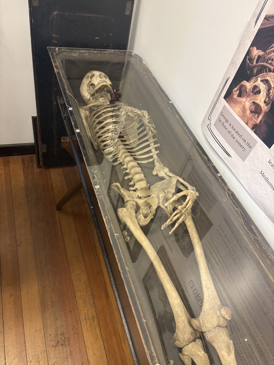 Summer Feaker 👻 tweet media