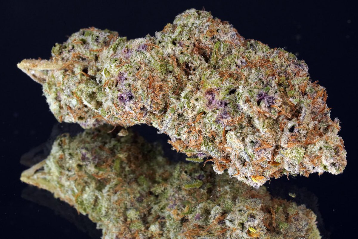 CloudOf9s's tweet photo. @WeedPorns now available:
#Kush #Vibes #Skunk #Bong #Chill #Oil #Purps #Joint #Hits #Roll #Loud #Love #Grow #Life #Meds #Crop #OG420 #Zoot #Pack #Lift #Doobs #Fire #Herbs #Live #Epic #Puff #Gold #Highz #Packs #Trip #Rips #Fuel #Blast #Farm #Haze #Weedy #Glow #Club #Bake #Pipe https://t.co/yKXX9kyTqe