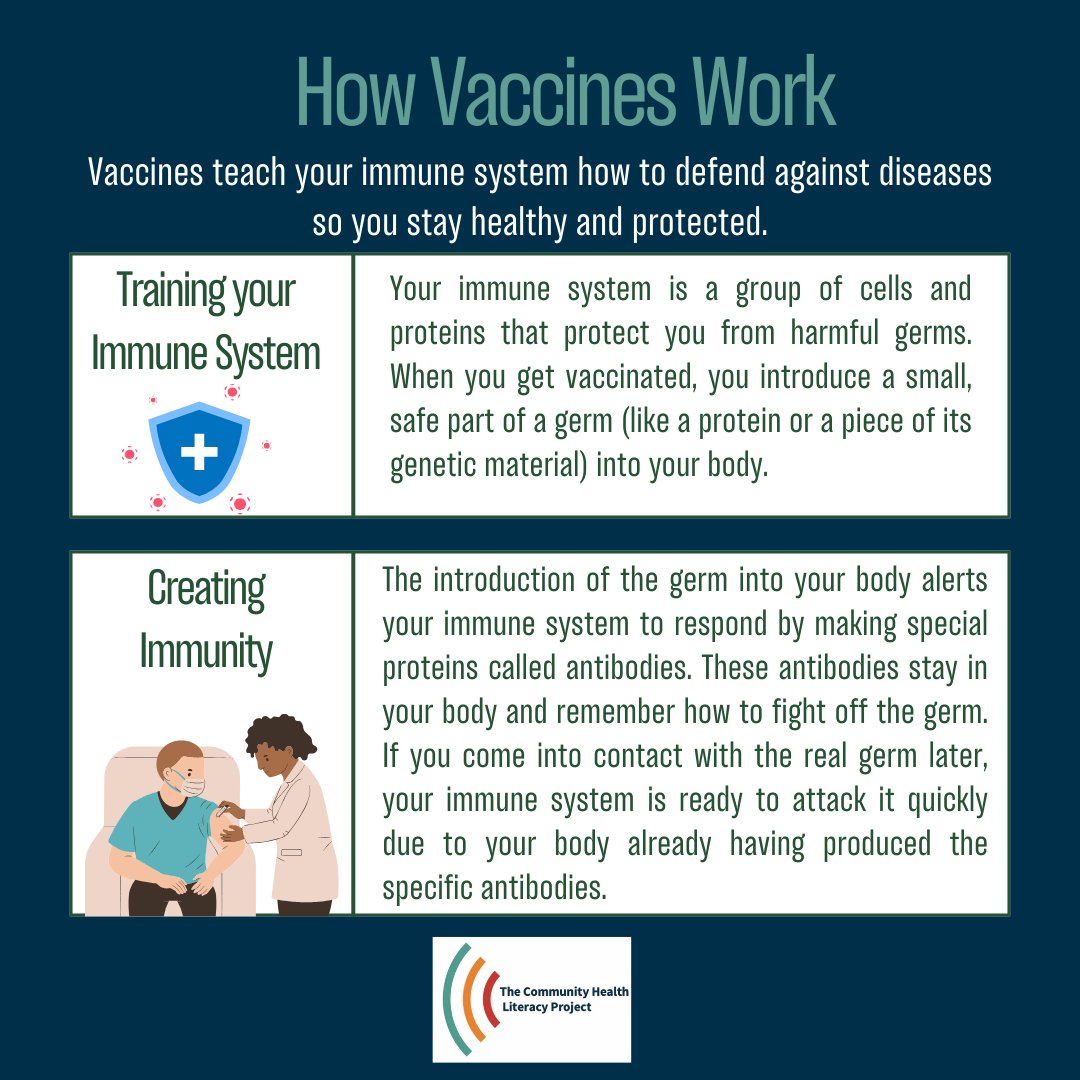 the_chlp's tweet photo. Check out our new two part factsheet on how common vaccines can help keep you healthy and protected from infections like the flu and COVID-19!
https://t.co/EskMNyP7rS https://t.co/varX4zIgJZ