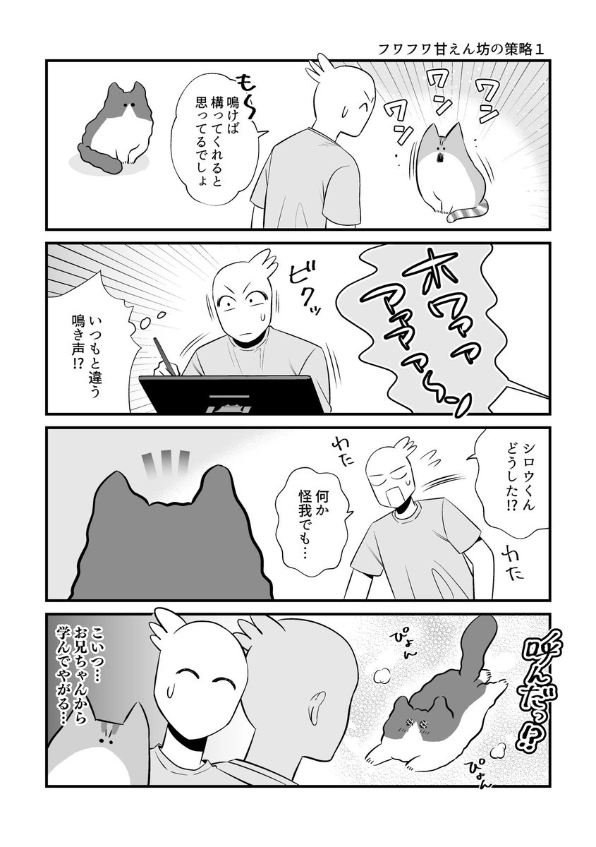 既視感の元 