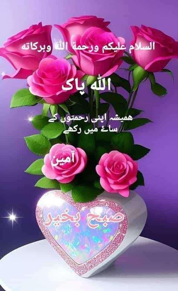 Irfansaeed83's tweet photo. https://t.co/IteoMBB93p