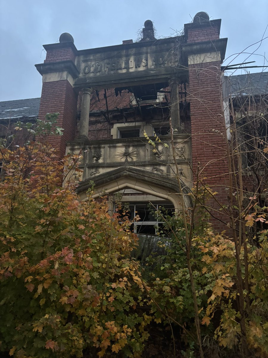 Summer Feaker 👻 tweet media