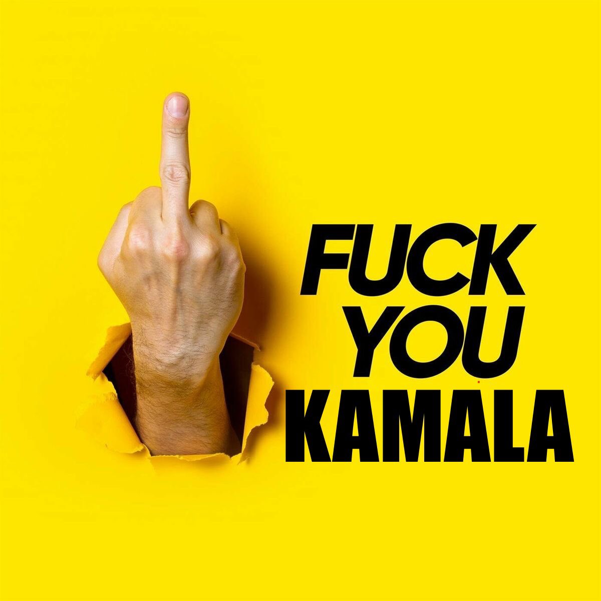 🇺🇸 Larry 🇺🇸 (@larrydjonesjr) on Twitter photo Can I get a ‘FVCK YOU KAMALA’ from all 50 states? Can I get a ‘FVCK YOU KAMALA’ from all 50 states?
