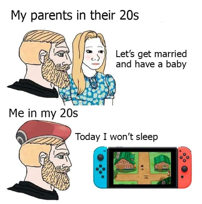 Katta i sekken (@sekken_i_katta) on Twitter photo 