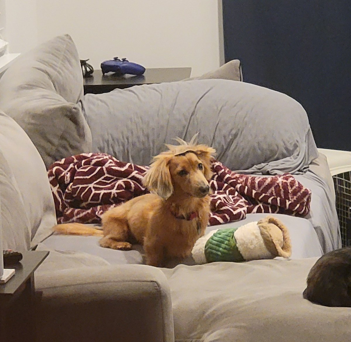 Austin Yost tweet media