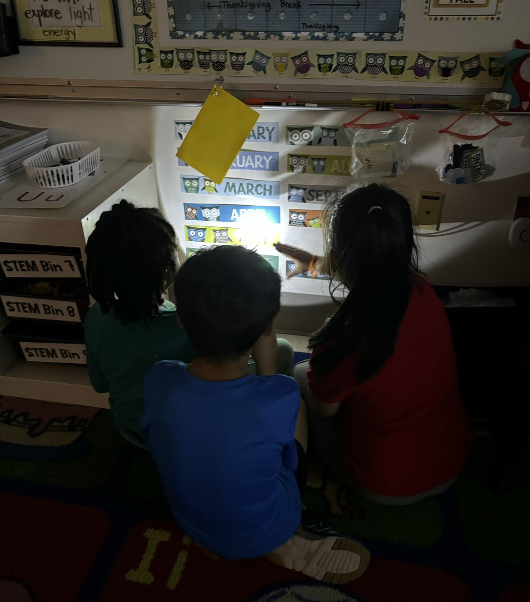 Exploring light and shadows today! 🔦