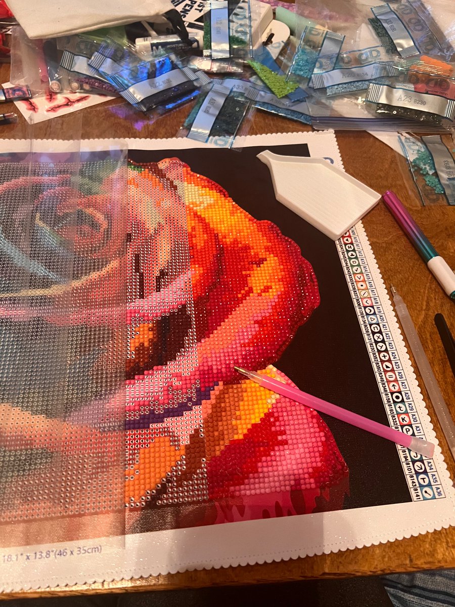 Cameronisstrang's tweet photo. Dimond art update! 
Name: Rose portrait 
Started: yesterday https://t.co/4evqZTOK5U