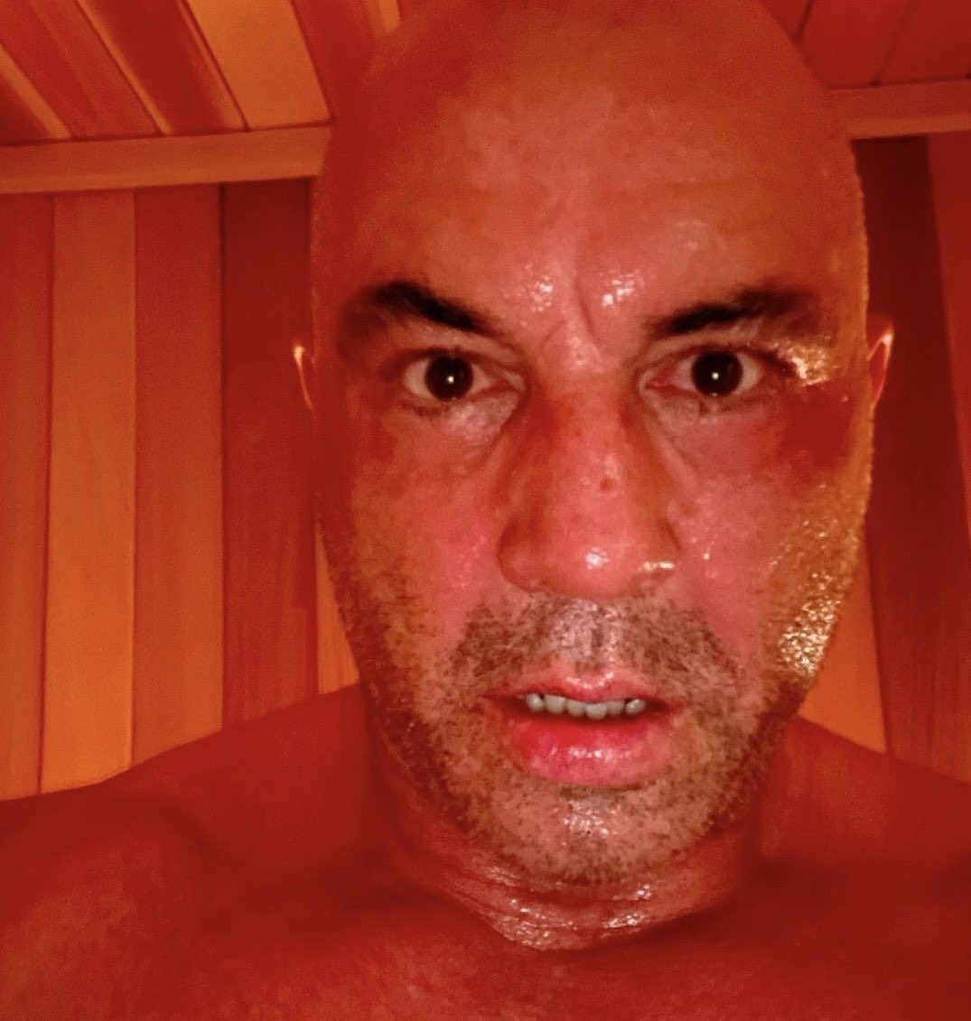 This Joe Rogan endorsement is really going to help Trump capture the coveted Ambulatory Kielbasa subset of the electorate.

#ElectionDay
