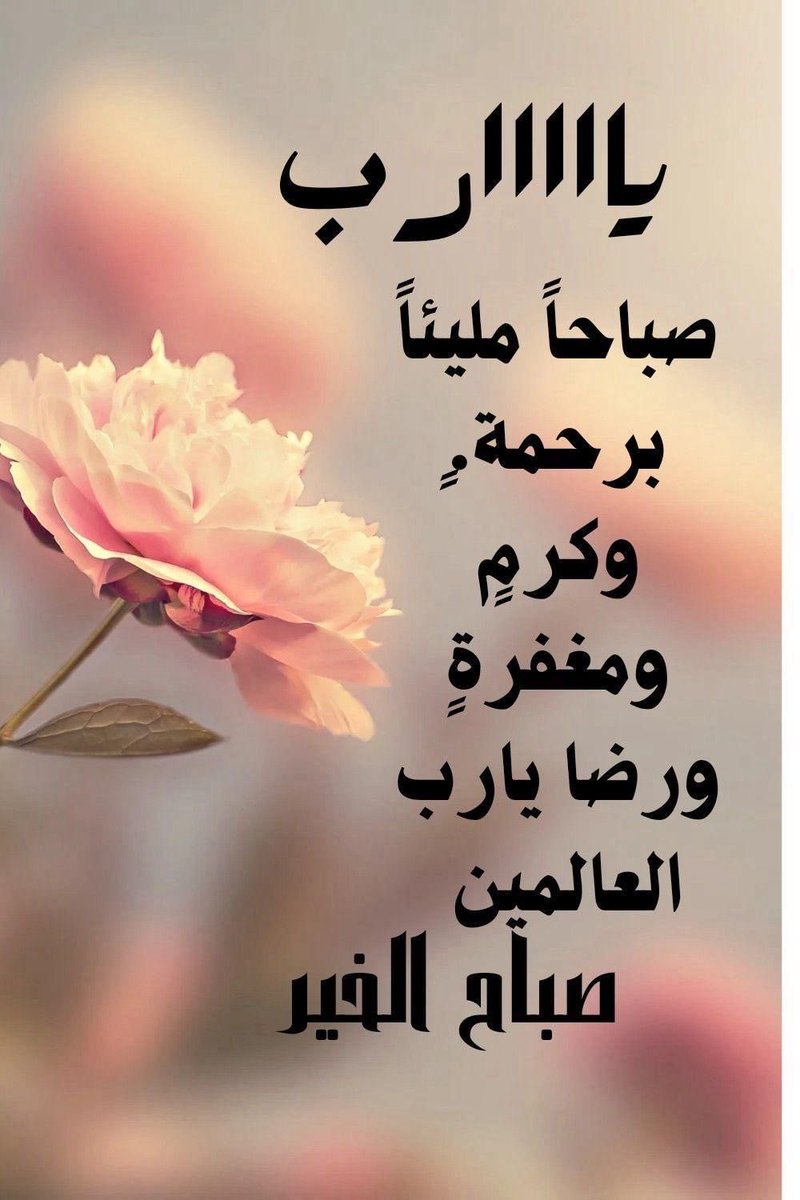 radi515's tweet photo. تقبل الله منا ومنكم صالح الأعمال والدعآء 🌹 https://t.co/hha9ifH52Z