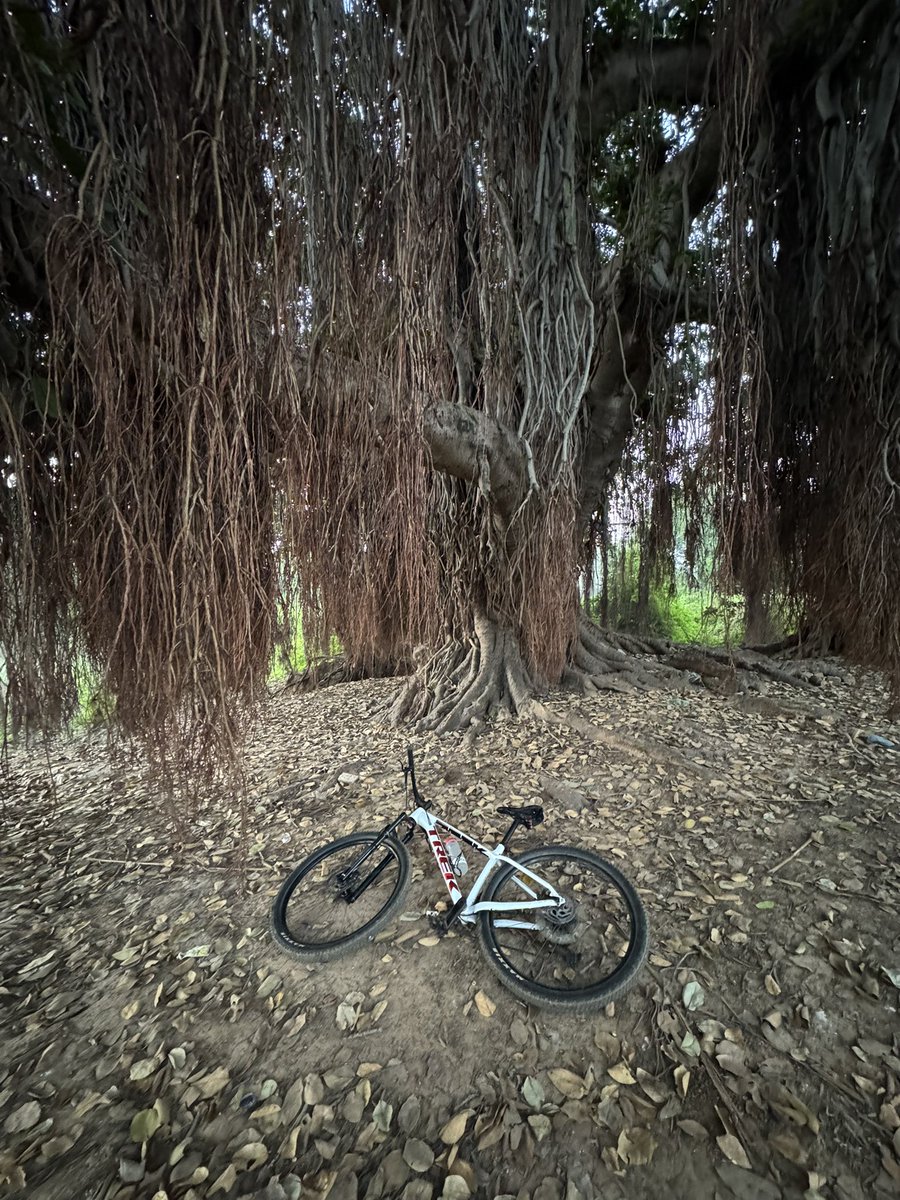WithManish0's tweet photo. Backyard riding 

#mtb #trailbiking #biking #backyard #cycling #vadodara #workout #vibes #Weekenders #workout #Motivacion #WeekdaysVibes https://t.co/lehmjz64PZ
