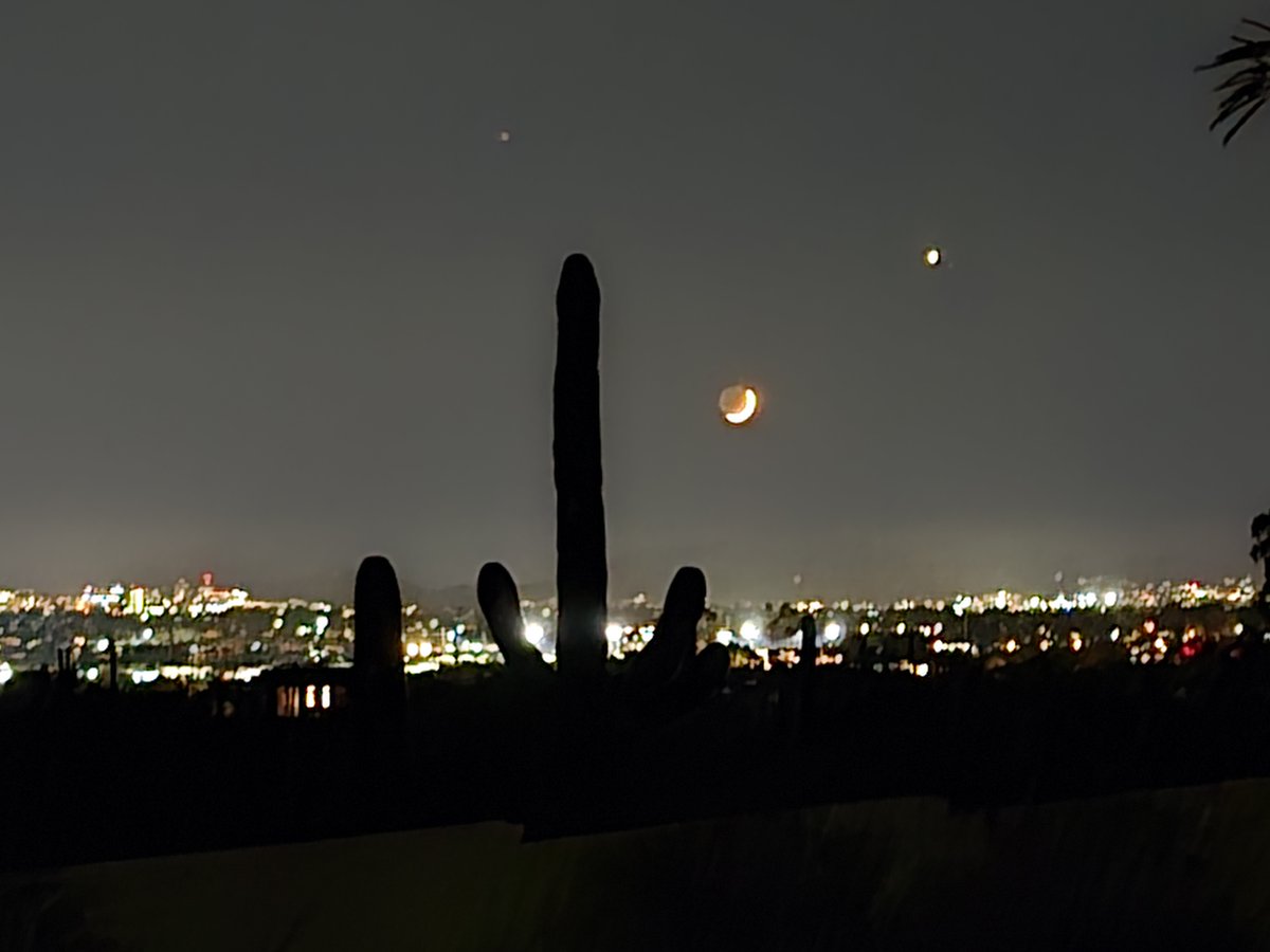 Stern Lab tweet media